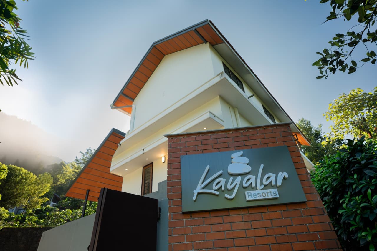 Treehouse among greenery